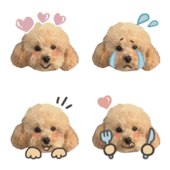 rui_emoji_toypoodle