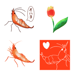 cute shrimps