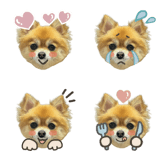 kuma_amamiya_emoji