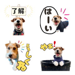 Moving  Fal kun emoji