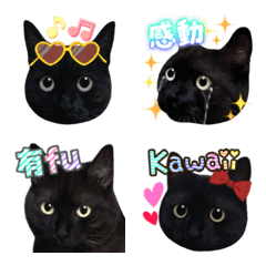 黑貓☆喵喵喵 第2彈