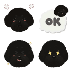 Black Poodles