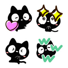 Moving Very cute black cat
