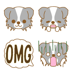 dogEmoji(Border Collie)-toYvu