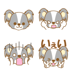 dogEmoji(papillon)2-toYvu