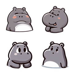 Happy baby hippopotamus cute hippo