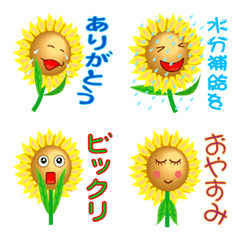Sunflower Message Board