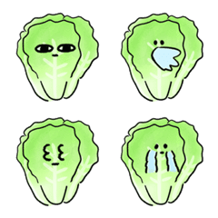 selada daun hijau Percakapan sehari-hari