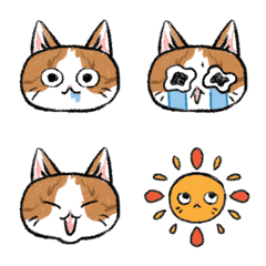 Cat't Daikichi EMOJI