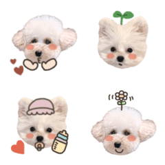 SAN MONI emoji