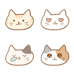 many cat