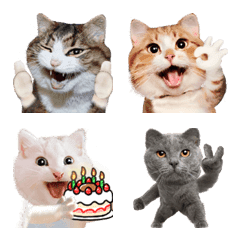 Funny and cute cat emoji