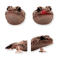 lizard gecko liz emoji