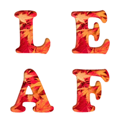 紅葉の絨毯 アルファベット