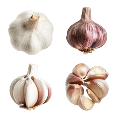 garlic