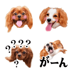 Saran and Ainy Emoji