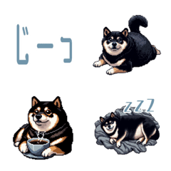 Black mame shiba dog