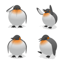 3D round shape King Penguin (Emoji)