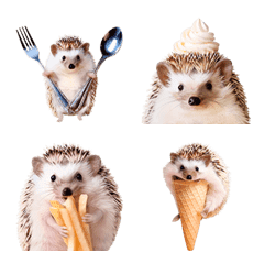 อิโมจิไลน์ foodie Hedgehog Emoji