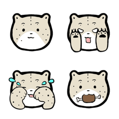 Snow leopard with various expressions