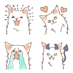 Long-haired cats2