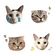 Niu Niu & Ning Ning face stickers