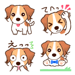 อิโมจิไลน์ It's a moving! Kooikerhondje, woof!