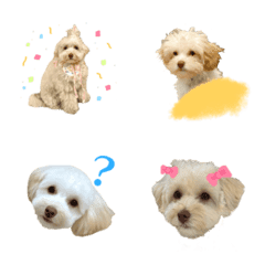 อิโมจิไลน์ Chipie First Emoji