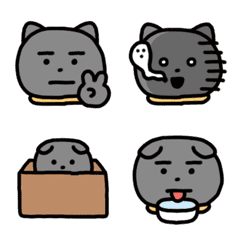 British Shorthair. Cat Emoji