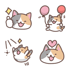 Message&small cats (calico)