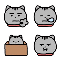 American shorthair. Cat Emoji