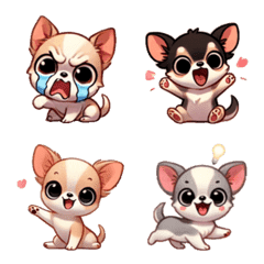 Chihuahuachan