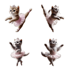 British Shorthair Ballerina