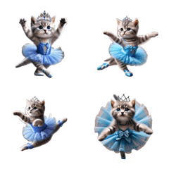 American Shorthair Kitten Ballerina