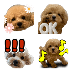 อิโมจิไลน์ toy-poodle's emoji