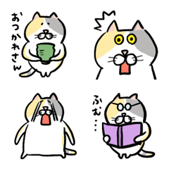 ★もっちり三毛猫★その1