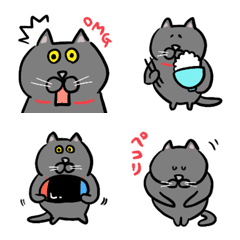 ★もっちり黒猫★その1