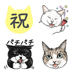 祝いたい猫にまみれたがりの絵文字