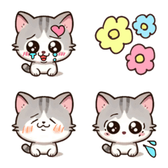 Cute cats every day, recommended