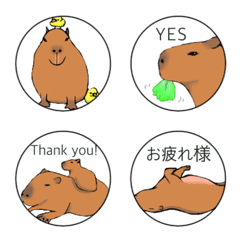 Cute  Japanese Capybaras