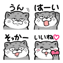 Manul cat  response emoji