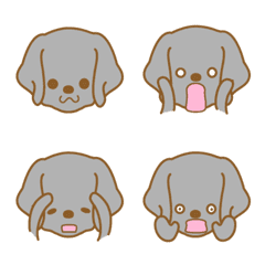 dogEmoji(BlackLabradorRetriever)-toYvu-