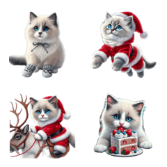 Ragdoll Santa