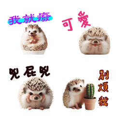 Gorgeous world-weary cute hedgehog