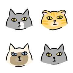 Dumbfounded Kitty Daily