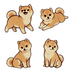 Authentic Shiba Inu (Japanese dog)