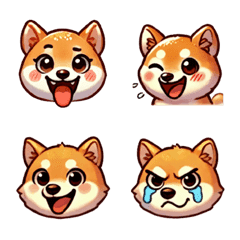 Shiba dog with various expressions