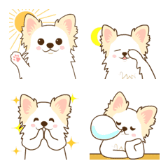 Moving! White Chihuahua emoji