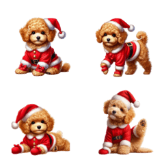 Apricot-colored poodle Christmas