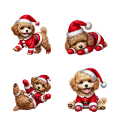 Cafe au lait toy poodle Christmas